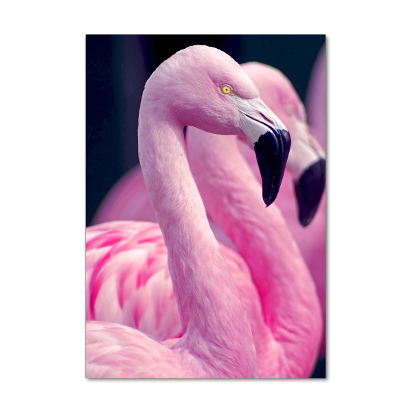 Staand foto plexiglas Flamingo's