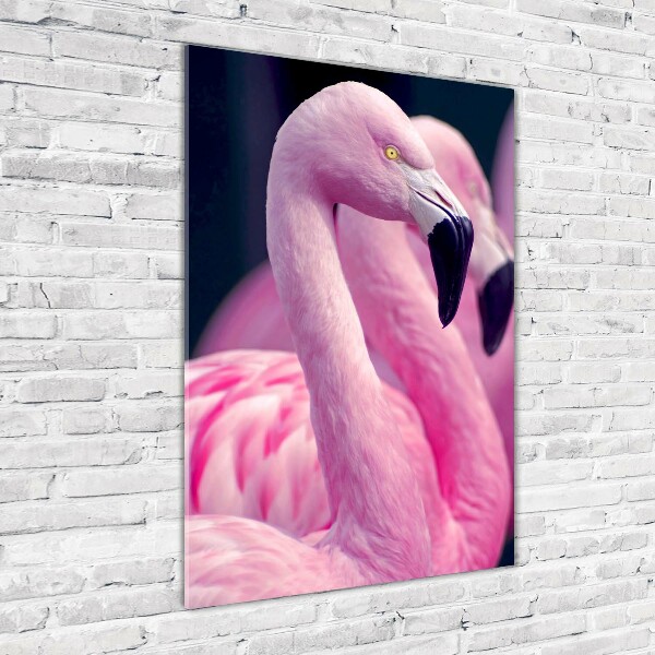 Staand foto plexiglas Flamingo's