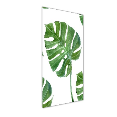 Staand plexiglas foto Monstera