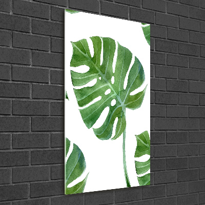 Staand plexiglas foto Monstera