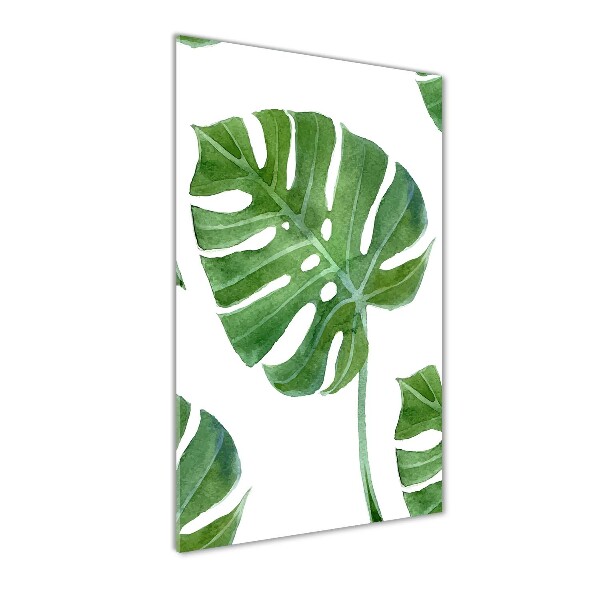 Staand plexiglas foto Monstera