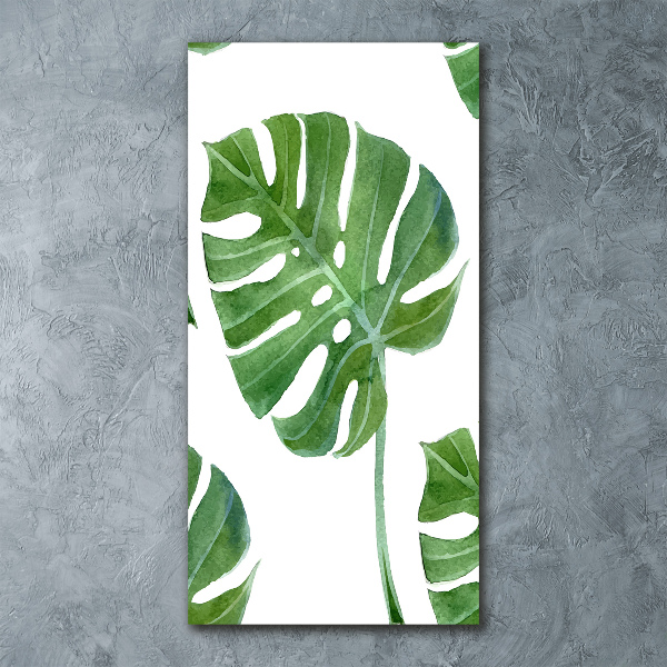 Staand plexiglas foto Monstera