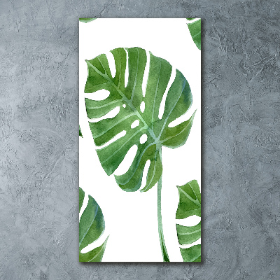 Staand plexiglas foto Monstera