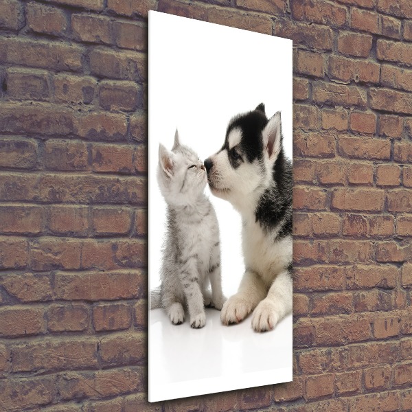 Staand foto in plexiglas Hond en kat