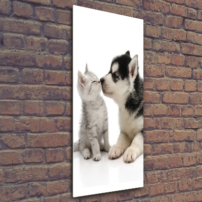 Staand foto in plexiglas Hond en kat