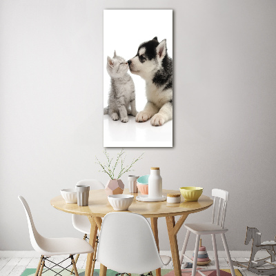 Staand foto in plexiglas Hond en kat