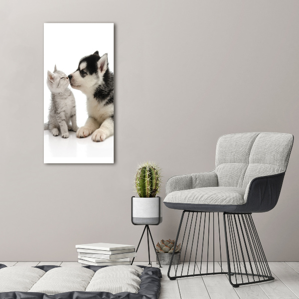 Staand foto in plexiglas Hond en kat