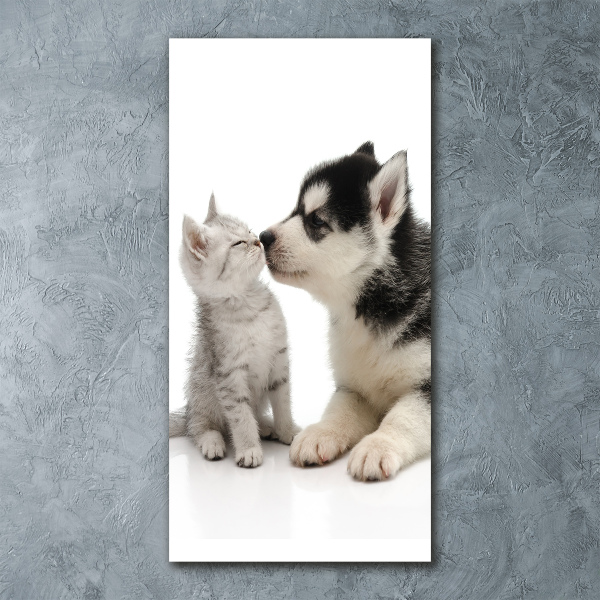 Staand foto in plexiglas Hond en kat