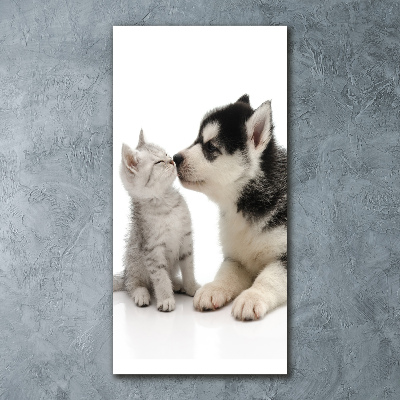 Staand foto in plexiglas Hond en kat