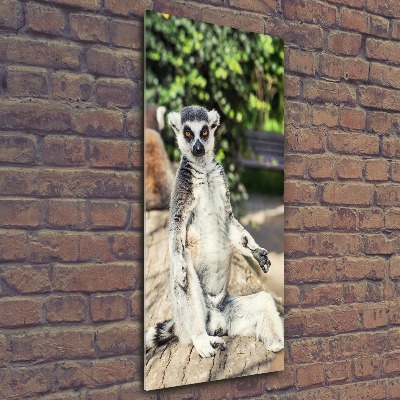 Staand foto plexiglas Lemur