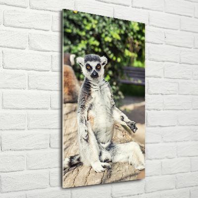 Staand foto plexiglas Lemur