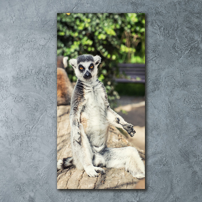 Staand foto plexiglas Lemur