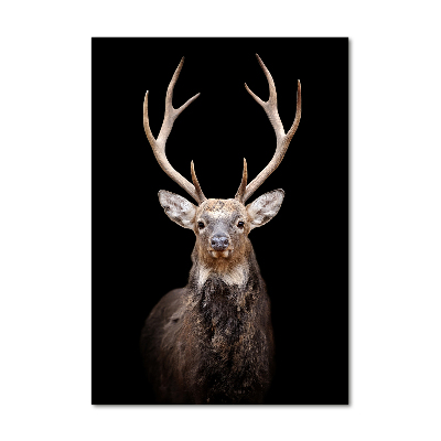 Staand foto in plexiglas Hert