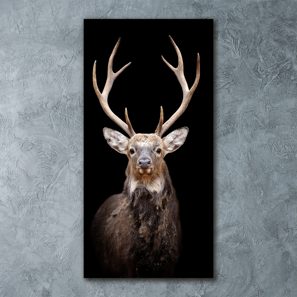 Staand foto in plexiglas Hert