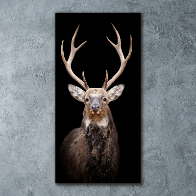 Staand foto in plexiglas Hert