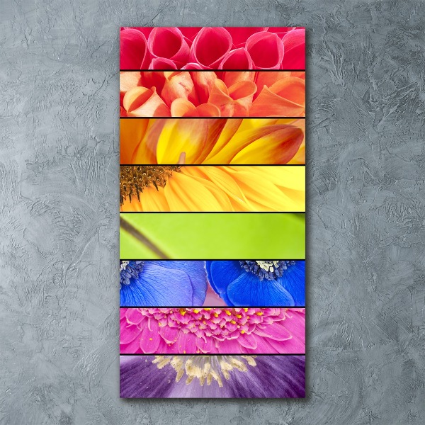 Staand foto plexiglas Kleurrijke bloemen