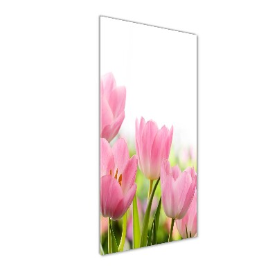 Staand foto in plexiglas Roze tulpen