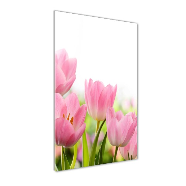 Staand foto in plexiglas Roze tulpen