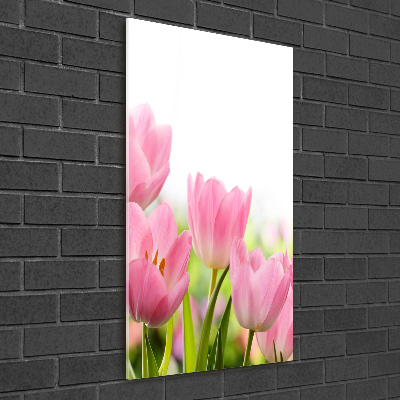 Staand foto in plexiglas Roze tulpen