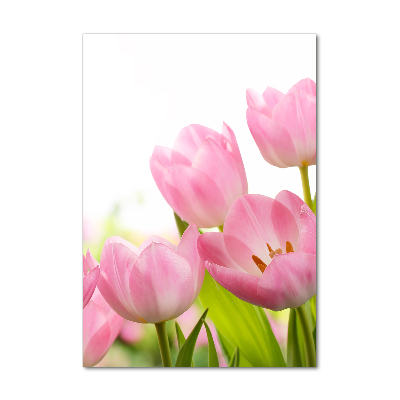 Staand foto in plexiglas Roze tulpen