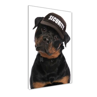 Staand foto op plexiglas Rottweiler met pet