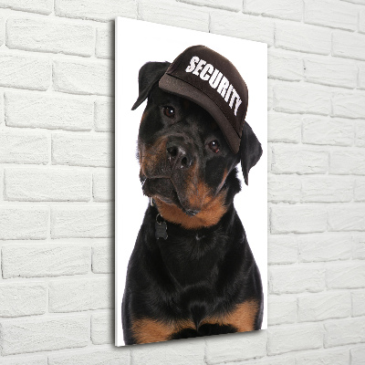 Staand foto op plexiglas Rottweiler met pet