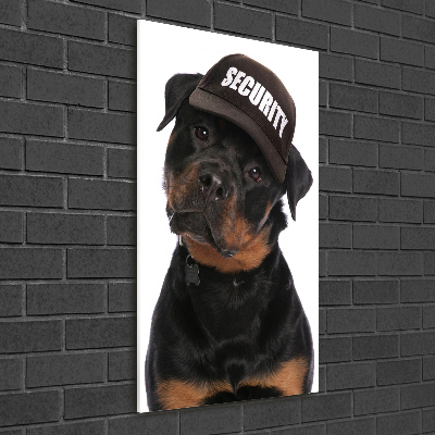 Staand foto op plexiglas Rottweiler met pet