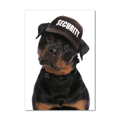 Staand foto op plexiglas Rottweiler met pet
