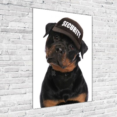 Staand foto op plexiglas Rottweiler met pet