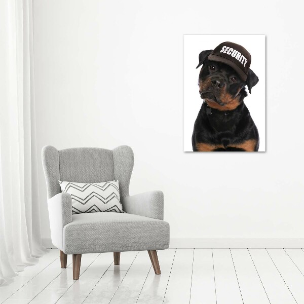 Staand foto op plexiglas Rottweiler met pet
