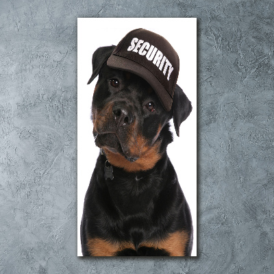 Staand foto op plexiglas Rottweiler met pet