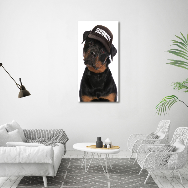 Staand foto op plexiglas Rottweiler met pet