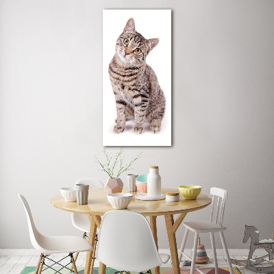 Staand plexiglas foto Kat