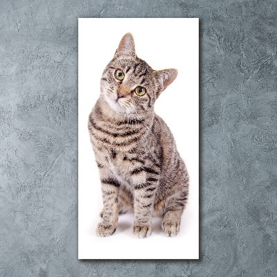 Staand plexiglas foto Kat