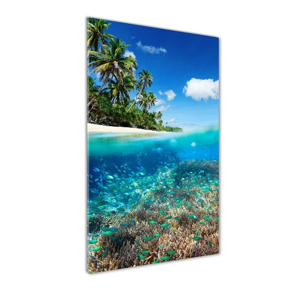 Staand plexiglas foto Koraalrif