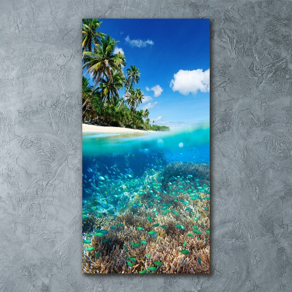 Staand plexiglas foto Koraalrif