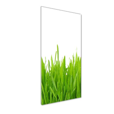 Staand plexiglas foto Groen gras