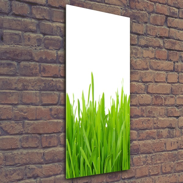 Staand plexiglas foto Groen gras