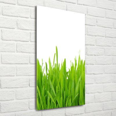 Staand plexiglas foto Groen gras