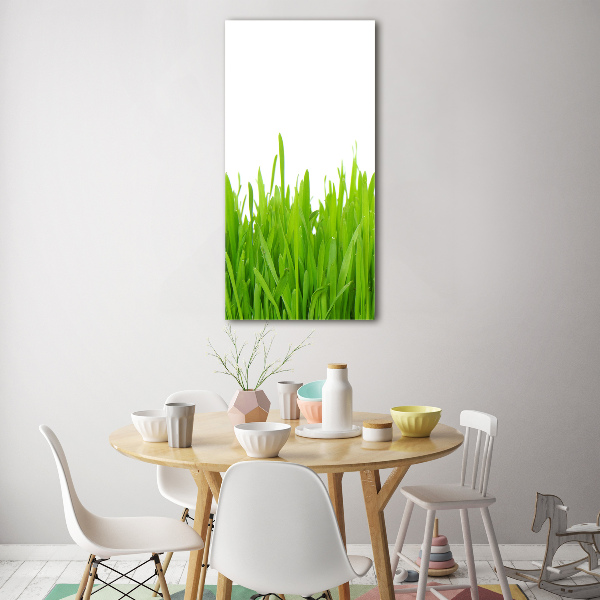 Staand plexiglas foto Groen gras