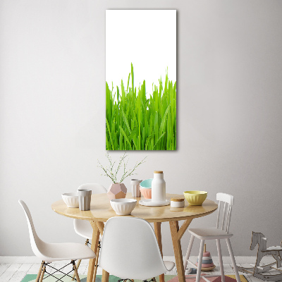 Staand plexiglas foto Groen gras