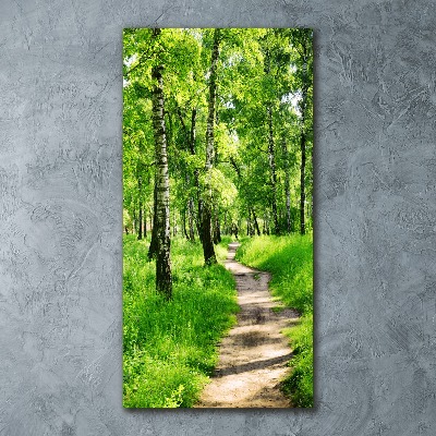 Staand foto in plexiglas Berkenbos