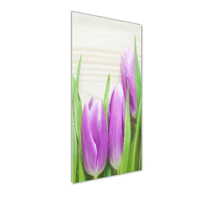 Staand foto op plexiglas Paarse tulpen