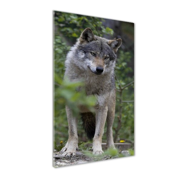 Staand foto plexiglas Wolf in het bos