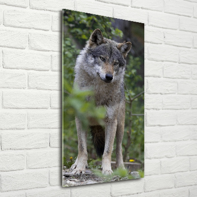 Staand foto plexiglas Wolf in het bos