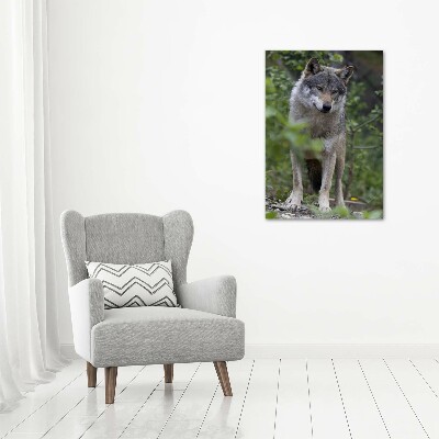 Staand foto plexiglas Wolf in het bos