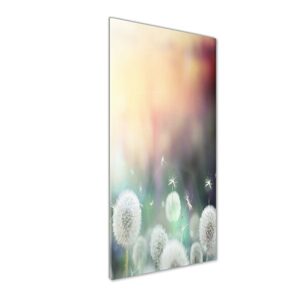 Staand plexiglas foto Paardenbloemen