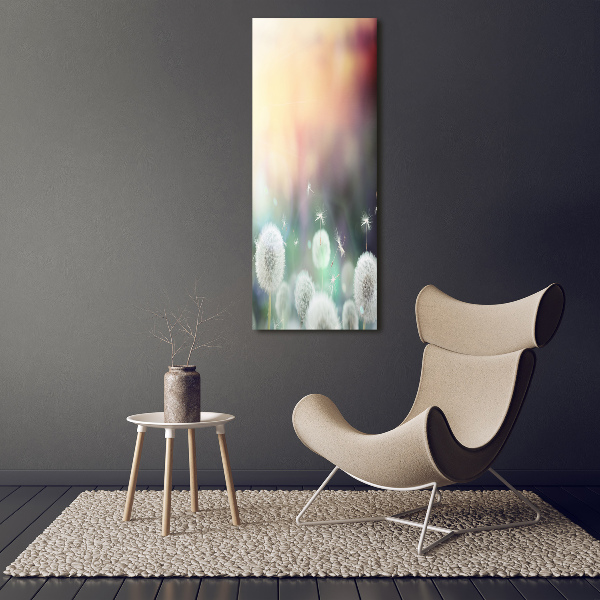 Staand plexiglas foto Paardenbloemen