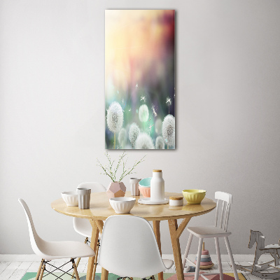 Staand plexiglas foto Paardenbloemen