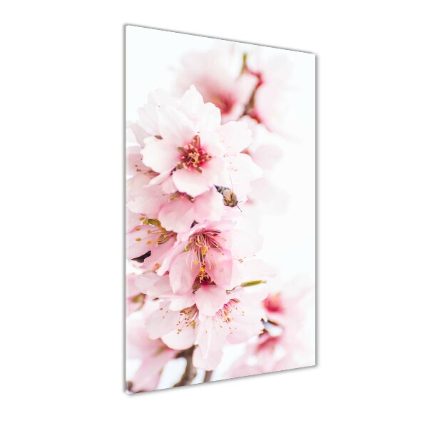 Staand foto in plexiglas Amandelbloesems
